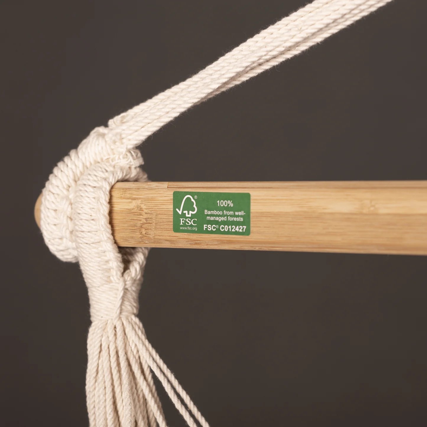 Organic Cotton Basic Hammock Chair | La Siesta - Habana Basic - Latte