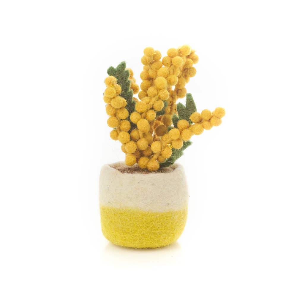 Felt Happy Houseplants Artificial Plant Cactus